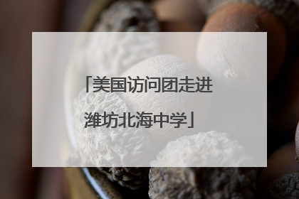 美国访问团走进潍坊北海中学