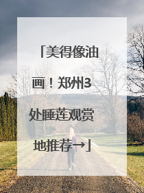 美得像油画！郑州3处睡莲观赏地推荐→