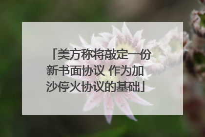 美方称将敲定一份新书面协议 作为加沙停火协议的基础