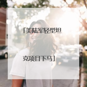 美陆军轻型坦克项目下马