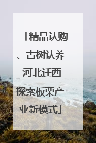 精品认购、古树认养 河北迁西探索板栗产业新模式