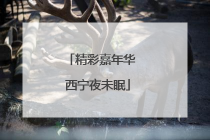 精彩嘉年华 西宁夜未眠