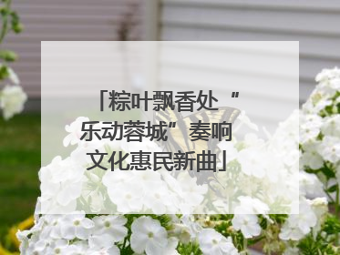 粽叶飘香处“乐动蓉城”奏响文化惠民新曲