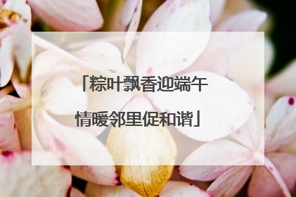 粽叶飘香迎端午 情暖邻里促和谐
