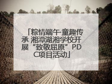 粽情端午·童趣传承 湘潭湖湘学校开展“致敬屈原”PDC项目活动