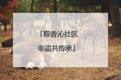 粽香沁社区 非遗共传承