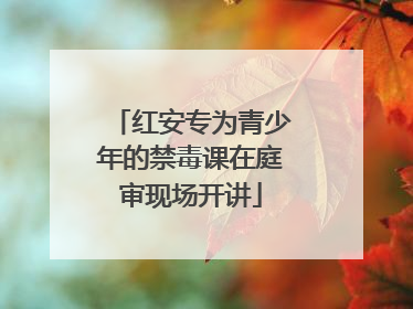 红安专为青少年的禁毒课在庭审现场开讲