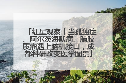 红星观察丨当孤独症、阿尔茨海默病、脑胶质瘤遇上脑机接口，成都科研改变医学图景
