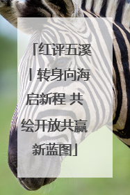 红评五溪丨转身向海启新程 共绘开放共赢新蓝图