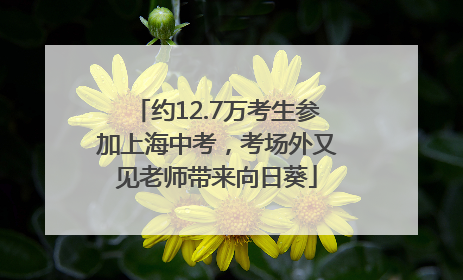 约12.7万考生参加上海中考，考场外又见老师带来向日葵