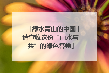 绿水青山的中国丨请查收这份“山水与共”的绿色答卷