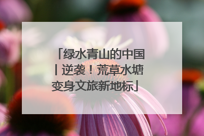 绿水青山的中国丨逆袭！荒草水塘变身文旅新地标