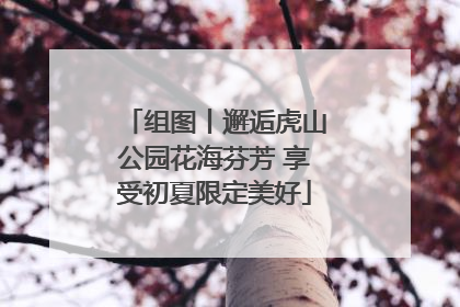 组图丨邂逅虎山公园花海芬芳 享受初夏限定美好