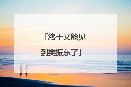 终于又能见到樊振东了