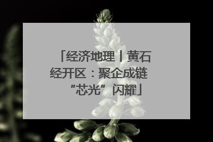 经济地理丨黄石经开区：聚企成链“芯光”闪耀