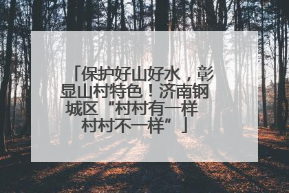 保护好山好水，彰显山村特色！济南钢城区“村村有一样 村村不一样”