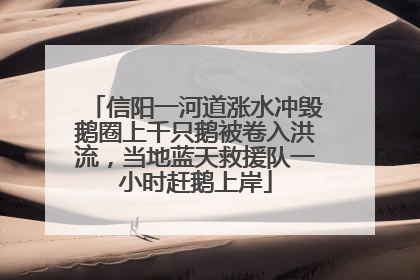 信阳一河道涨水冲毁鹅圈上千只鹅被卷入洪流，当地蓝天救援队一小时赶鹅上岸