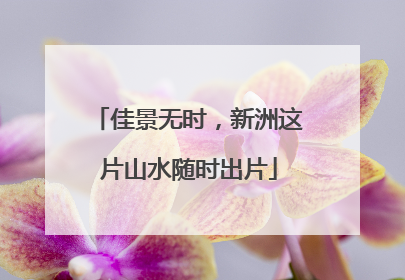 佳景无时，新洲这片山水随时出片