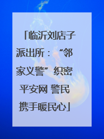 临沂刘店子派出所：“邻家义警”织密平安网 警民携手暖民心