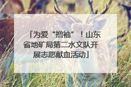 为爱“撸袖”！山东省地矿局第二水文队开展志愿献血活动