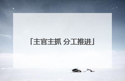 主官主抓 分工推进