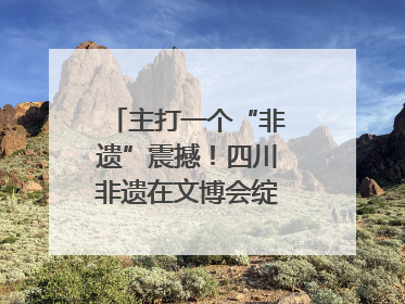 主打一个“非遗”震撼！四川非遗在文博会绽放时代光彩｜文博向“新”