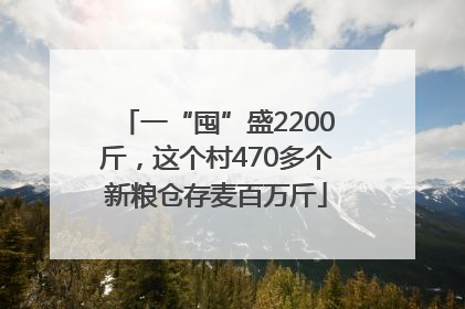 一“囤”盛2200斤，这个村470多个新粮仓存麦百万斤