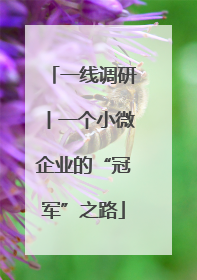 一线调研丨一个小微企业的“冠军”之路