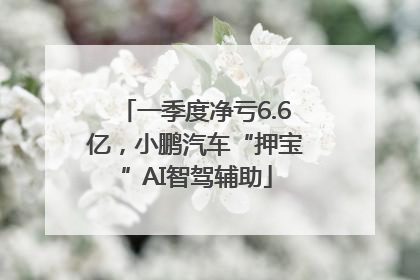 一季度净亏6.6亿，小鹏汽车“押宝”AI智驾辅助