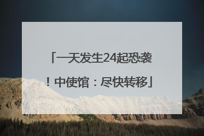一天发生24起恐袭！中使馆：尽快转移