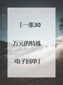 一张30万元的特殊电子回单