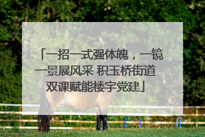 一招一式强体魄，一镜一景展风采 积玉桥街道双课赋能楼宇党建