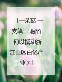 一朵菇 一支笔 一根竹 何以撬动浙江山区百亿产业？
