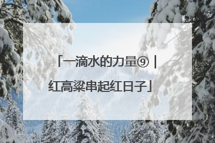 一滴水的力量⑨｜红高粱串起红日子