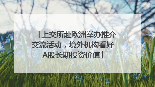 上交所赴欧洲举办推介交流活动，境外机构看好A股长期投资价值