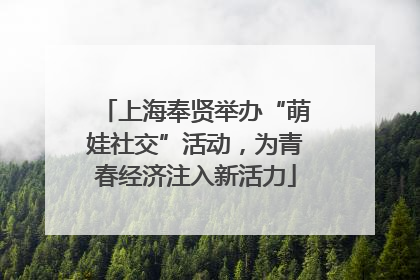 上海奉贤举办“萌娃社交”活动，为青春经济注入新活力