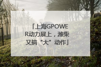 上海GPOWER动力展上，潍柴又搞“大”动作
