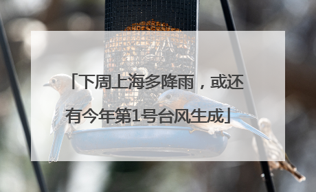 下周上海多降雨，或还有今年第1号台风生成