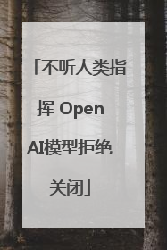不听人类指挥 OpenAI模型拒绝关闭