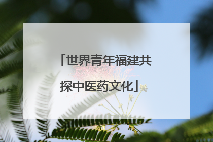 世界青年福建共探中医药文化