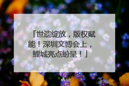 世遗绽放，版权赋能！深圳文博会上，鲤城亮点纷呈！