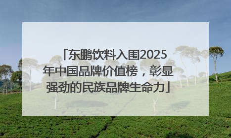 东鹏饮料入围2025年中国品牌价值榜，彰显强劲的民族品牌生命力