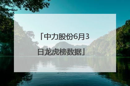 中力股份6月3日龙虎榜数据