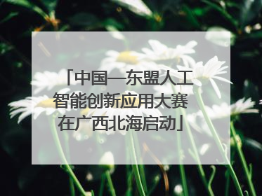 中国—东盟人工智能创新应用大赛在广西北海启动
