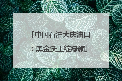 中国石油大庆油田：黑金沃土绽绿颜