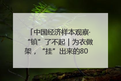 中国经济样本观察·“镇”了不起｜为衣做架，“挂”出来的80亿元“衣架产业”