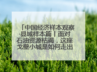 中国经济样本观察·县域样本篇丨面对石油资源枯竭，这座戈壁小城是如何走出困境的？