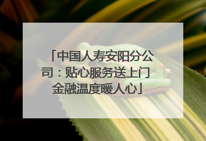 中国人寿安阳分公司：贴心服务送上门 金融温度暖人心