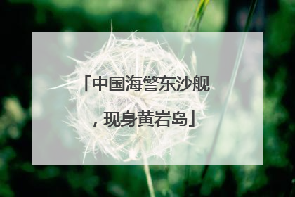 中国海警东沙舰，现身黄岩岛