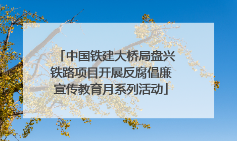 中国铁建大桥局盘兴铁路项目开展反腐倡廉宣传教育月系列活动